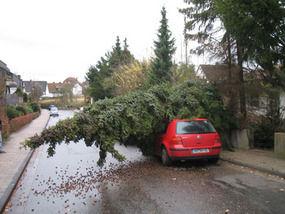 Christmas Tree On Car